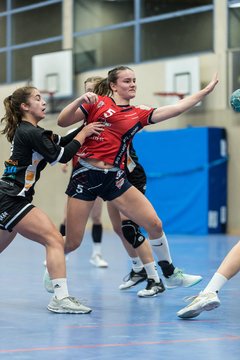 Bild 93 - A-Juniorinnen SG HH Nord - HSG Marne/Brun : Ergebnis: 32:41